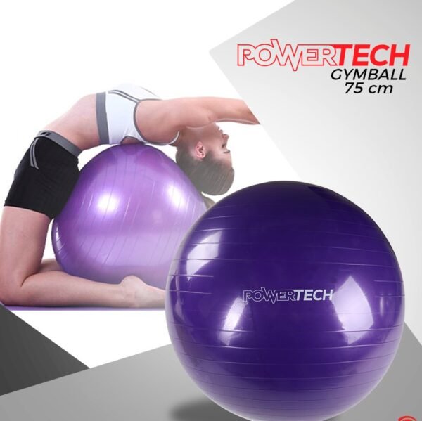 BALON DE ESFERODINAMIA 75CM POWERTECH